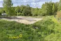 Land  Alahnovicy, Belarus
