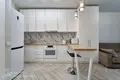 Apartamento 1 habitación 30 m² Minsk, Belarús