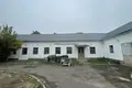 Commercial property 1 100 m² in Kecskemeti jaras, Hungary