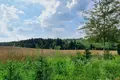 Cottage 150 m² Ozyaritska-Slabadski rural council, Belarus