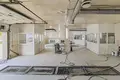 Коммерческое помещение 181 м² Дзержинск, Беларусь