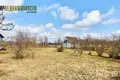 Land  Scytomirycy, Belarus