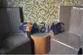 Hotel 2 562 m² in Sveti Vlas, Bulgaria