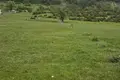 Działki  Zabljak, Czarnogóra