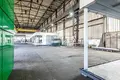 Shop 2 030 m² in Rogozno, Poland