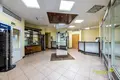 Commercial property 111 m² in Minsk, Belarus