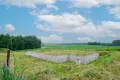 Grundstück  Saslauje, Belarus