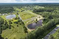 Land 1 200 m² Babites pagasts, Latvia