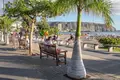 Entreprise établie 270 m² à Arona, Espagne