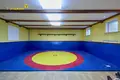 Дом 529 м² Острошицкогородокский сельский Совет, Беларусь
