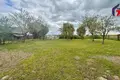 Casa 43 m² Starya Caruski, Belarús