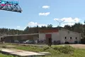 Commercial property 1 753 m² in Masteikiai, Lithuania