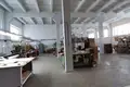 Производство 9 114 м² Орша, Беларусь