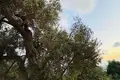 Дом 3 спальни 225 м² Петровац, Черногория