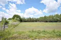 Parcelas 5 159 m² Krosinko, Polonia
