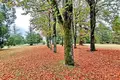 Schloss 14 Zimmer 540 m² Aubeterre-sur-Dronne, Frankreich