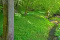 House 81 m² Meduksta, Lithuania