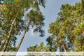 Działki  Wilno, Litwa