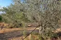 Land 8 381 m² Peloponnese Region, Greece