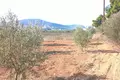 Земельные участки 4 300 м² периферия Пелопоннес, Греция