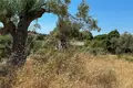 Land 6 662 m² Nikiti, Greece