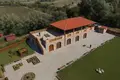 Operating premium class winery – cellar “Zenishi”, located in Kakheti, Sagarejo municipality, in the village of Khashmi