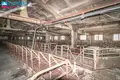 Коммерческое помещение 30 793 м² Вилкавишкис, Литва