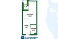 Mieszkanie 1 pokój 30 m² Mińsk, Białoruś