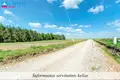 Atterrir  Naujasis Tarpupis, Lituanie