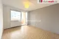 Wohnung 45 m² Neuhaus, Tschechien