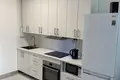 1 room apartment 30 m² Minsk, Belarus