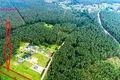 Land  Naujasode, Lithuania