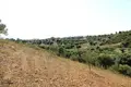 Land 1 room 9 000 m² Agios Nikolaos, Greece