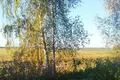 Działki  Stankauski sielski Saviet, Białoruś