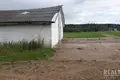 Lager 1 000 m² Baraulianski sielski Saviet, Weißrussland