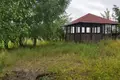 Działki  Pahoscki sielski Saviet, Białoruś