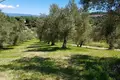 Land 1 room  Agia Paraskevi, Greece