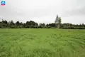 Land  Gulbiniskiai, Lithuania
