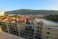Квартира 1 спальня 47 м² Дженовичи, Черногория