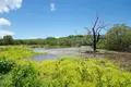 Дом 1 спальня 96 м² Pollytilly Bight, Гондурас