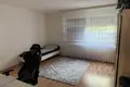 4 room apartment 100 m² Wels, Austria