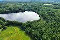 Land  Petrauskai, Lithuania