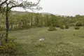 Land  Ambrolauri Municipality, Georgia