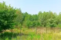 Atterrir 1 438 m² Pniewo, Pologne