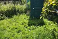 House 22 m² Aliachnovicy, Belarus