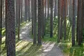 4 room house 197 m² Brivkalni, Latvia