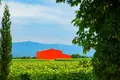 Now available for sale! A new wine factory complex in Kakheti, Telavi Municipality, in the village of Napareuli