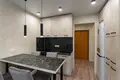 Apartamento 1 habitación 41 m² Fanipal ski siel ski Saviet, Bielorrusia