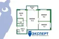 Wohnung 3 zimmer 50 m² Minsk, Belarus