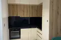 1 bedroom apartment  Montenegro, Montenegro